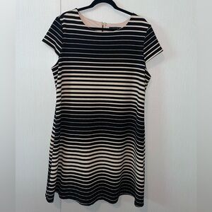 Tiana B. legant Striped Black and Cream Dress
